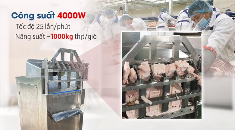 Động cơ dây đồng công suất 4kW cho khả năng cắt thái 800-1000kg thịt/giờ