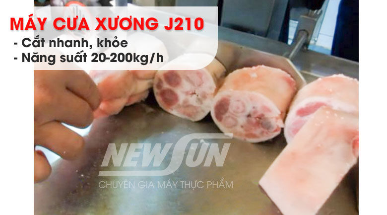 Máy cưa xương J210 cho năng suất 20-200kg/h