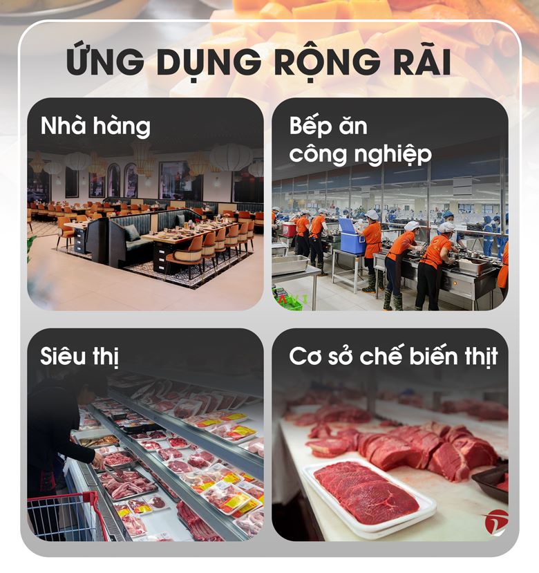 Máy cắt thịt tươi sống lát sợi MTTS-10S Ứng dụng rộng rãi