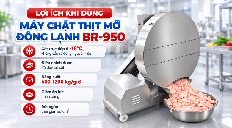 Máy chặt thịt mỡ đông lạnh BR-950 1200kg/giờ Lợi ích khi đầu tư máy chặt thịt mỡ đông lạnh BR-950 1200kg/giờ