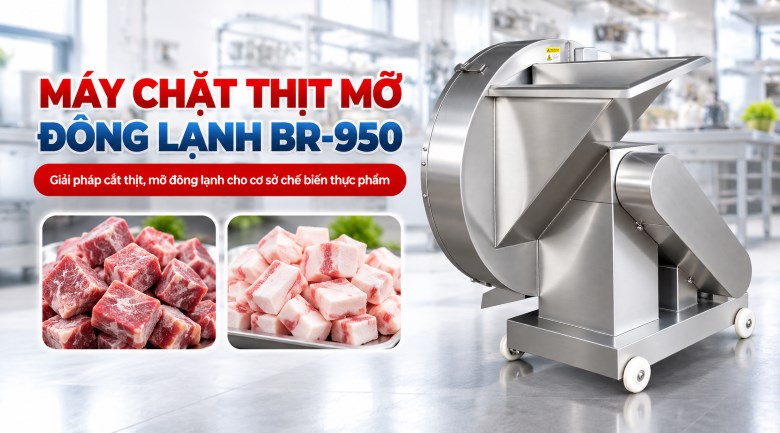 Máy chặt thịt mỡ đông lạnh BR-950 1200kg/giờ Máy chặt thịt mỡ đông lạnh BR-950 1200kg/giờ